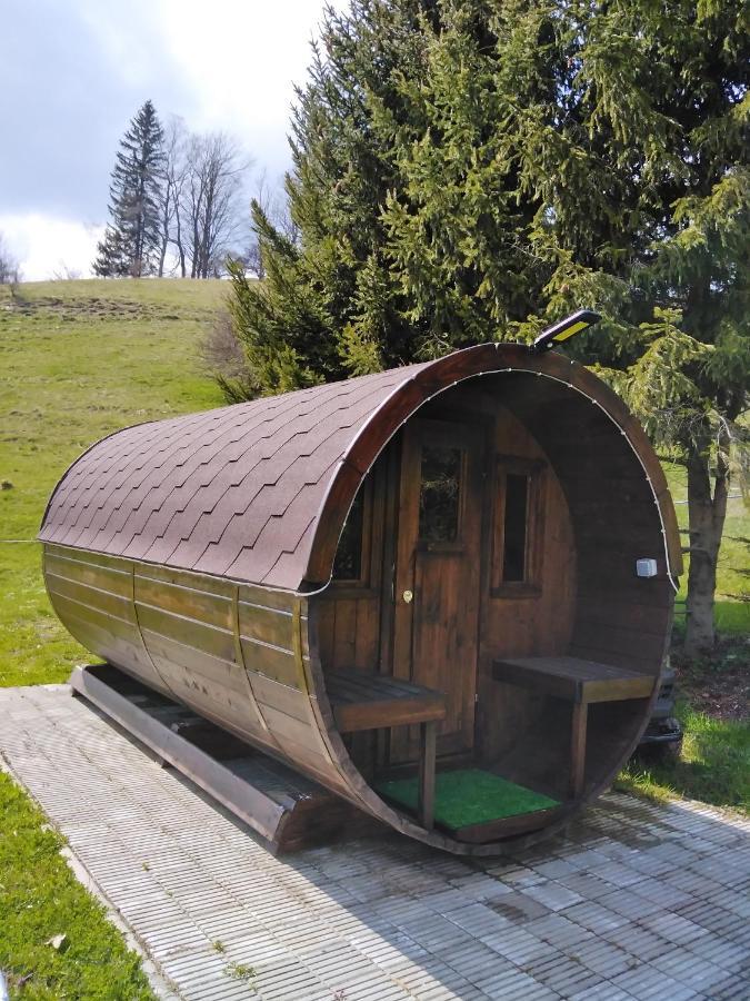 Penzion Iris Krkonose Horní Maršov Exterior foto